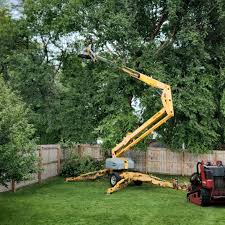 Best Lawn Watering Services  in Huntersville, NC